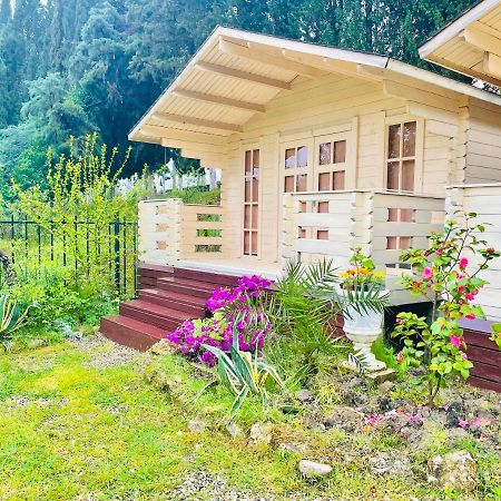 Vacation Home Apsar New Athos Exteriör bild